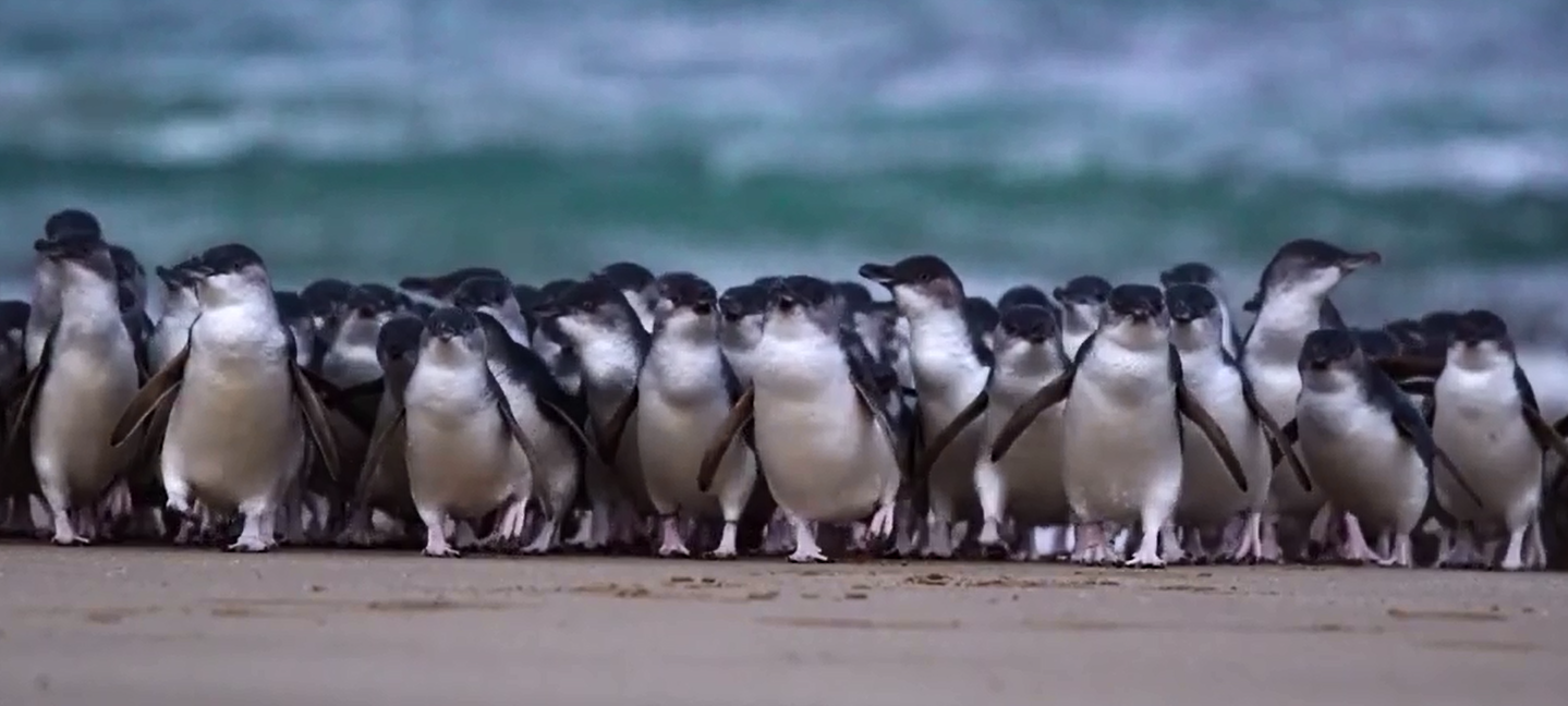 Our annual bumper summer quiz post image