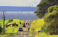 BURT quashed post image