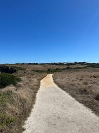 Kilcunda erosion and Rail Trail issues post image