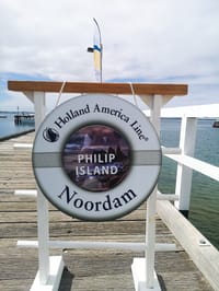 Cruising into Christmas post image