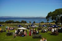 Summer Sunday Sessions post image