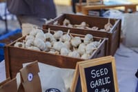 South Gippsland Garlic Festival post image