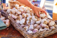 Festival celebrates garlic, from donuts to beer post image