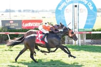 Ladbrokes Stony Creek Cup Day returns post image
