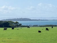 Farmers anxious ahead of council vote post image