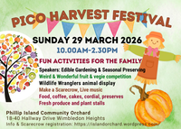 PICO Harvest Festival post image