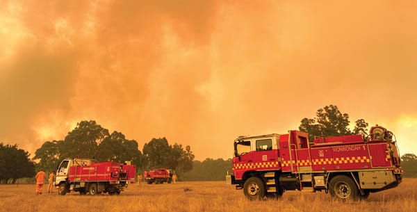 Bushfires - how you can help post image