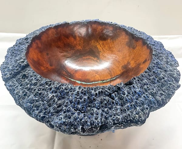 Last chance to experience Contempora 2 post image