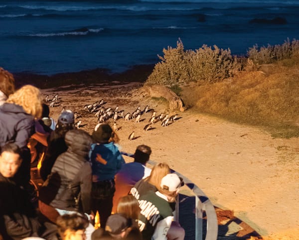 Holiday makers flock to the island post image