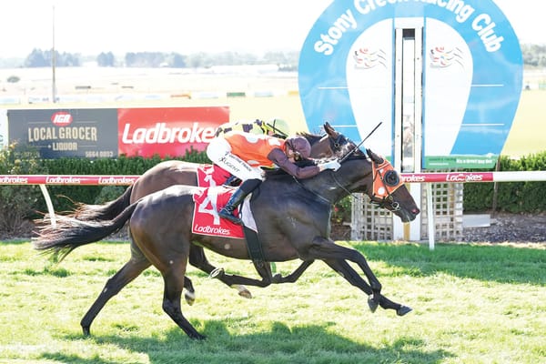 Ladbrokes Stony Creek Cup Day returns post image