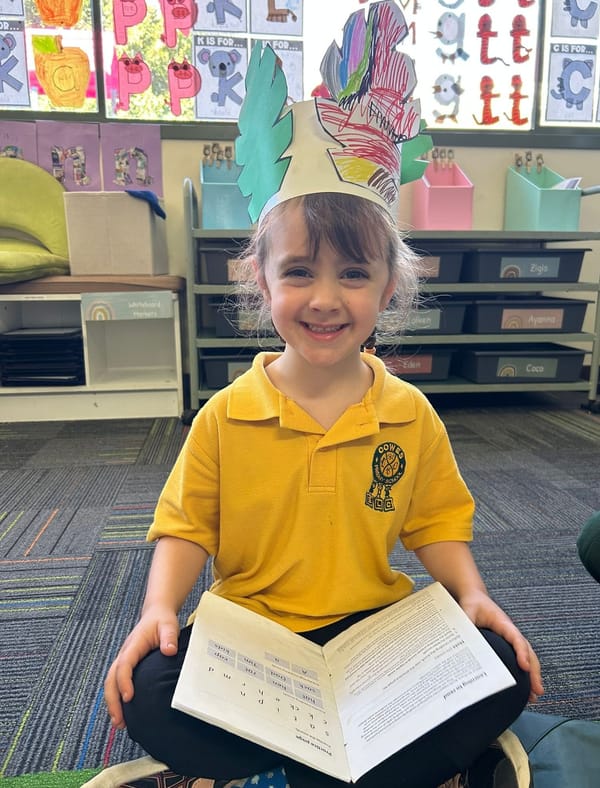 Celebrating reading milestone with a party post image