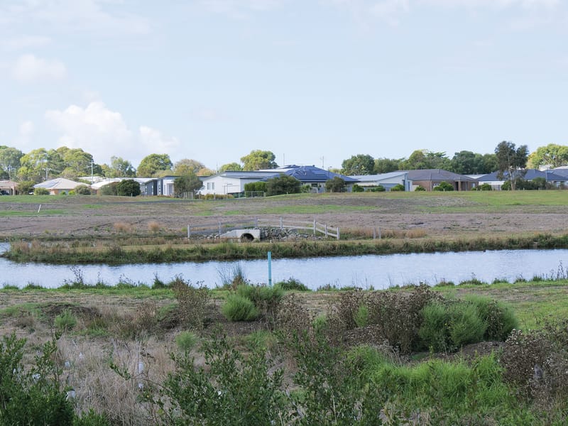 Wetland woes continue post image