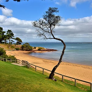Cowes Front Beaches post image