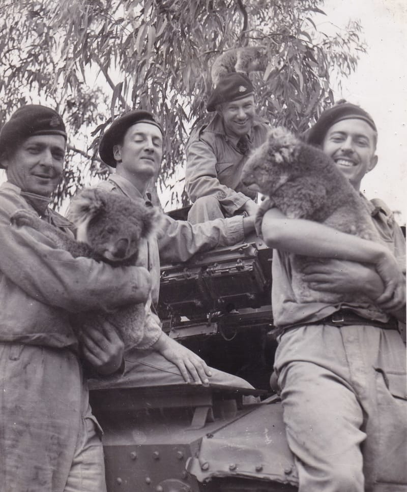 Army units post image