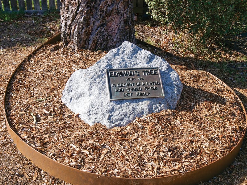 Edward's plaque returns post image