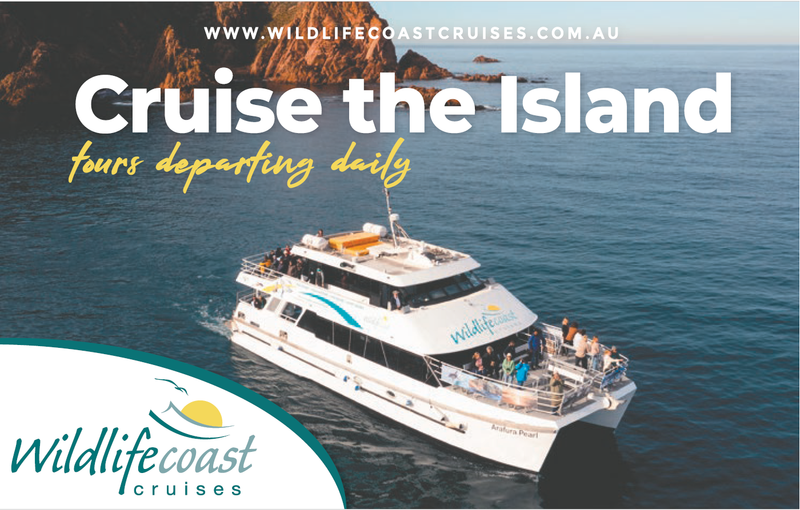 Wildlife Cruises post image
