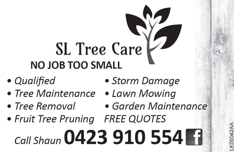 SL Tree Care post image