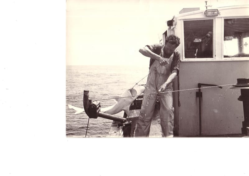 Ray Dickie: San Remo fisherman post image