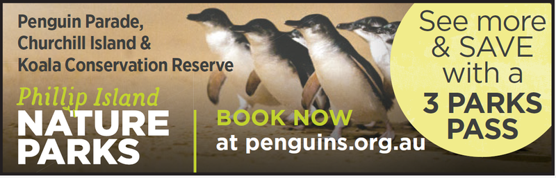 Nature Parks - Penguins, Churchill Island & Koala Reserve post image