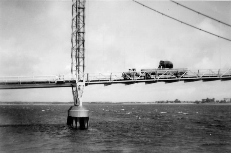 Fur and fins post image