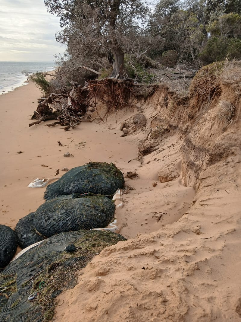 Silverleaves hit by sea surge post image