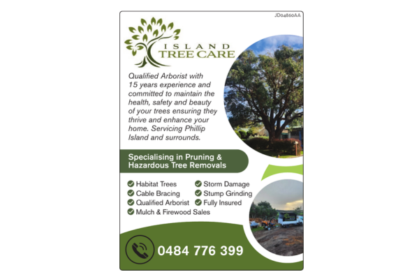 Island Tree Care post image