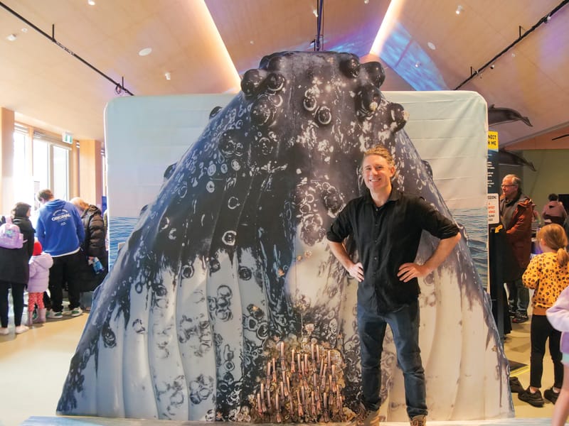 Whales in full scale post image