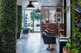 Shampoo Avenue post image