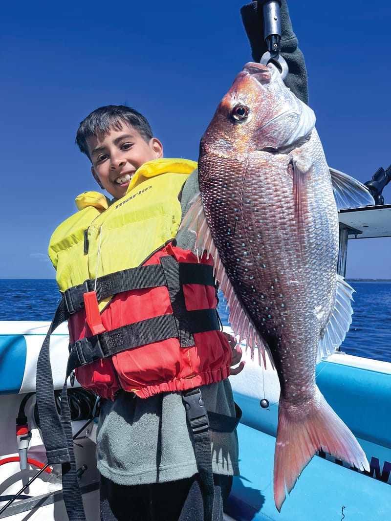 Snapper baby boom post image