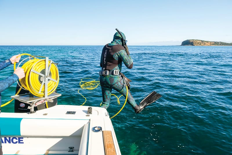 Dive into abalone and rock lobster this summer post image