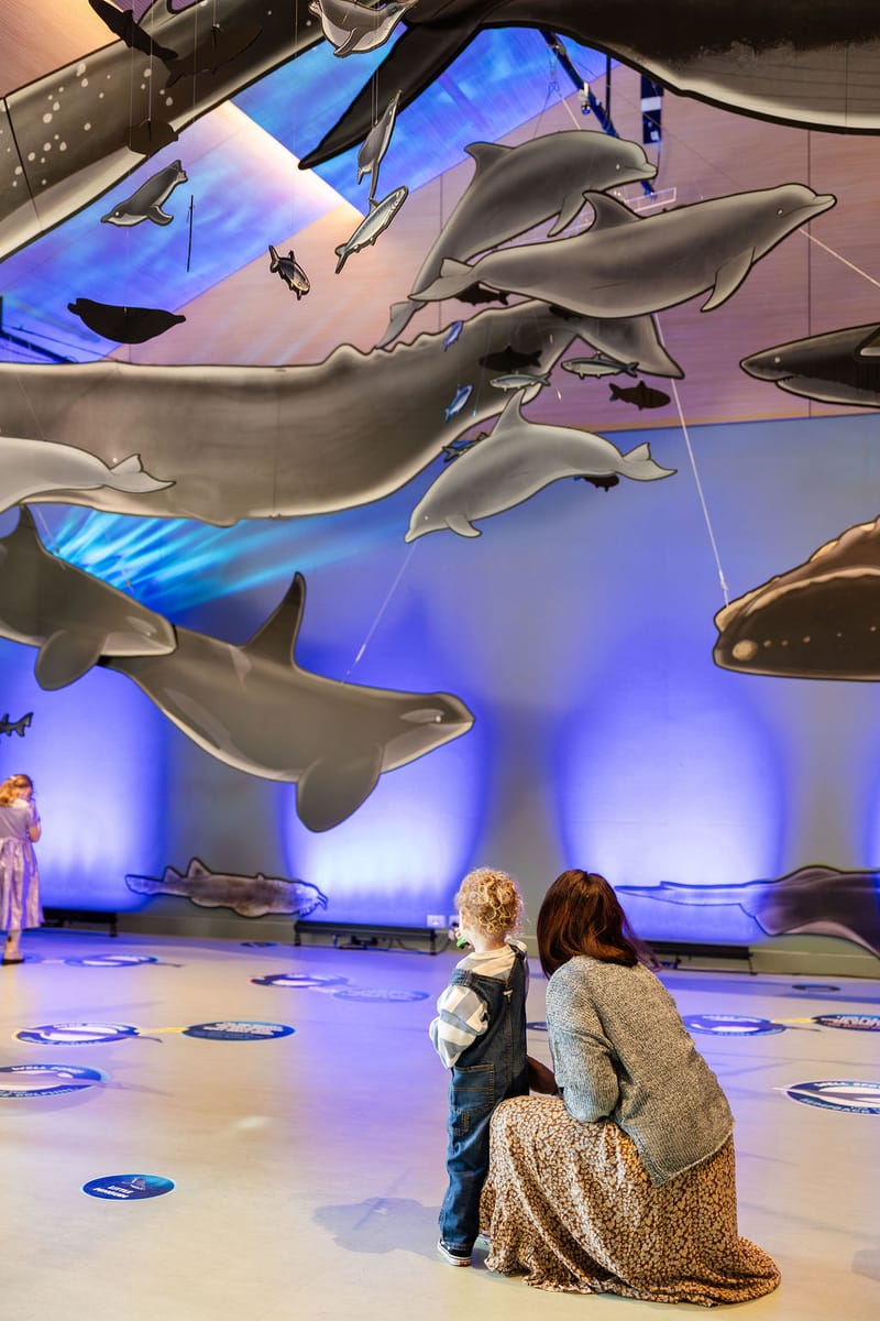 Whale Festival in running for award post image