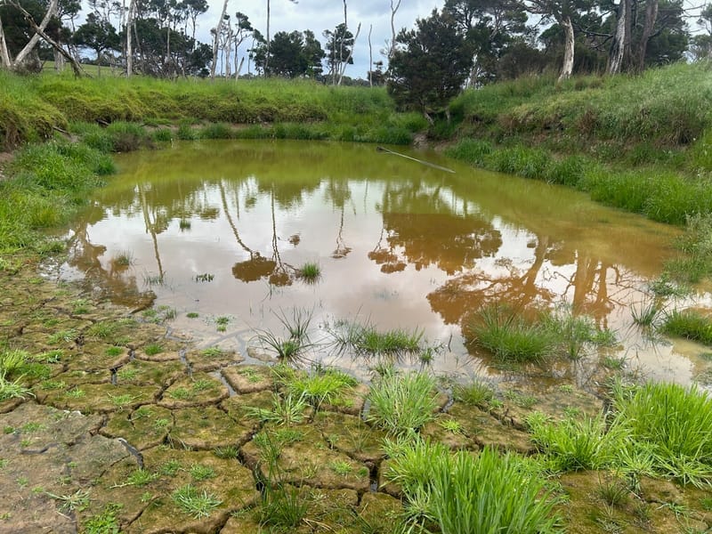 Thank the heavens, rain revives water supplies post image