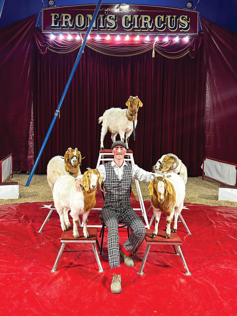 Circus brings glamour and excitement post image