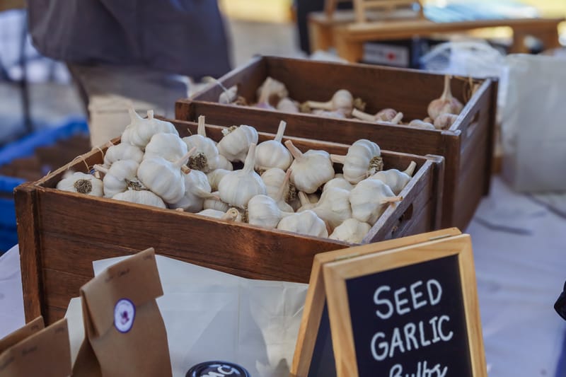South Gippsland Garlic Festival post image