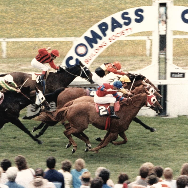 Triple dead heat anniversary celebrated post image