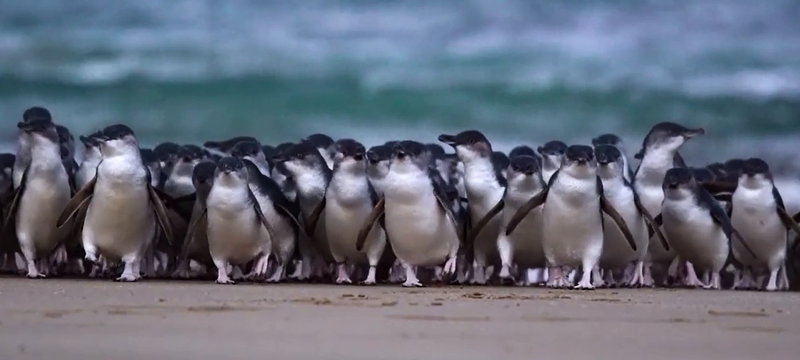 Our annual bumper summer quiz post image