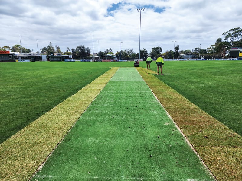 Grass is still greener post image