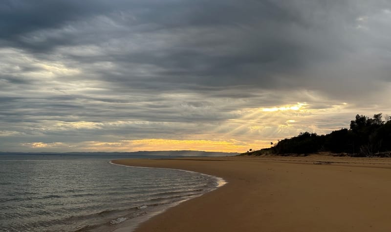 Summer rain recovers thanks to February showers post image