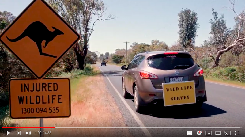 Stage two speed review rolled out, Cowes-Rhyll Road to come post image