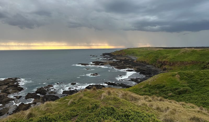 Locals urge South Coast Road to stay open post image